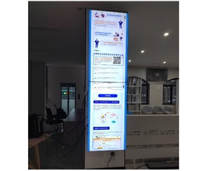�Ž����������������55����ƴƴ������װ���